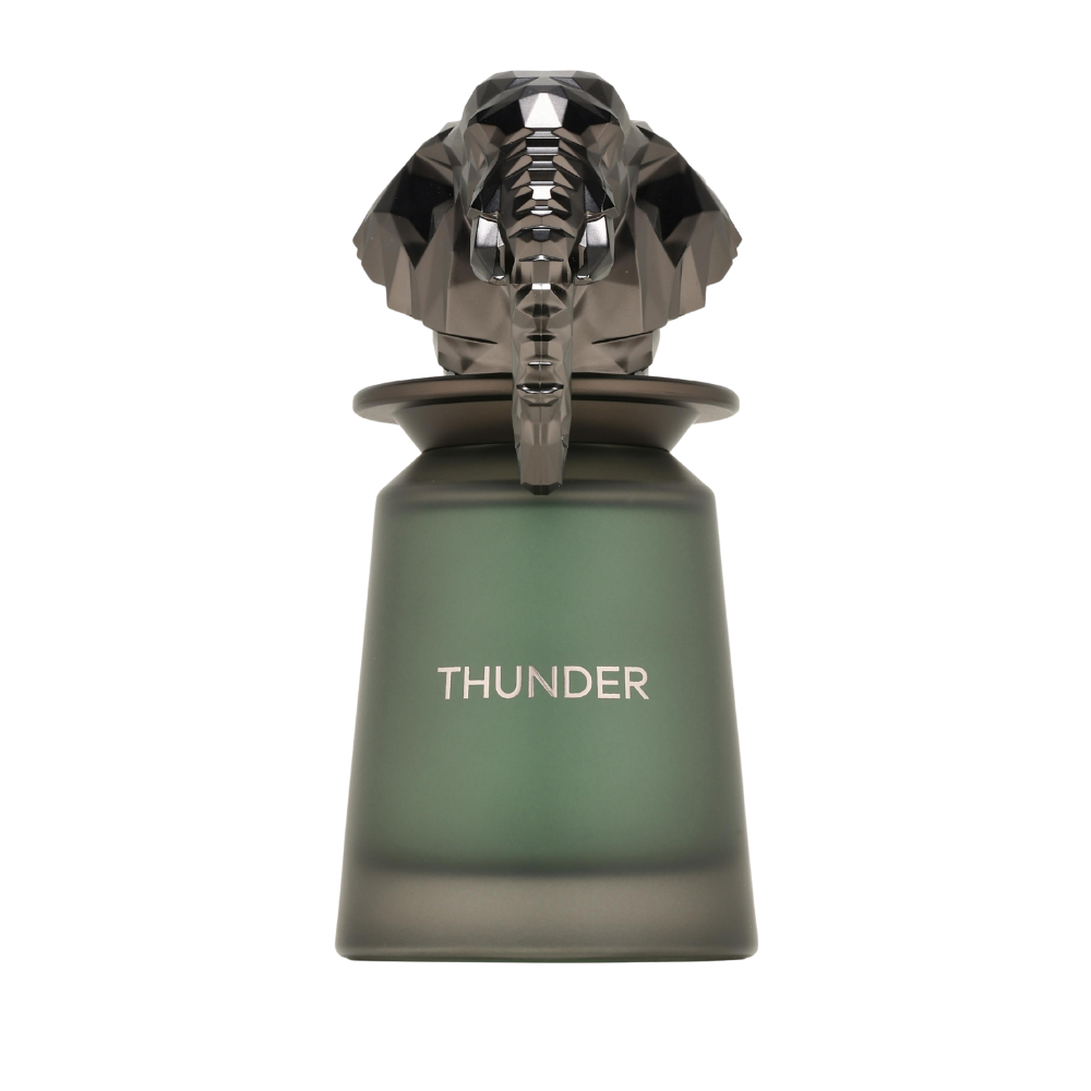 Thunder Eau de Parfum 100ml by French Avenue