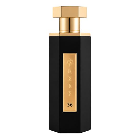 Reef 36 Eau de Parfum 100ml by Reef Perfumes